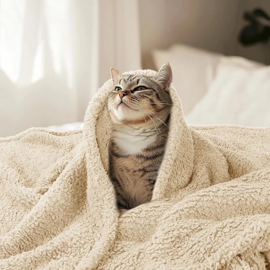 Premium Plush Fleece Pet Blanket For Dogs And Cats
