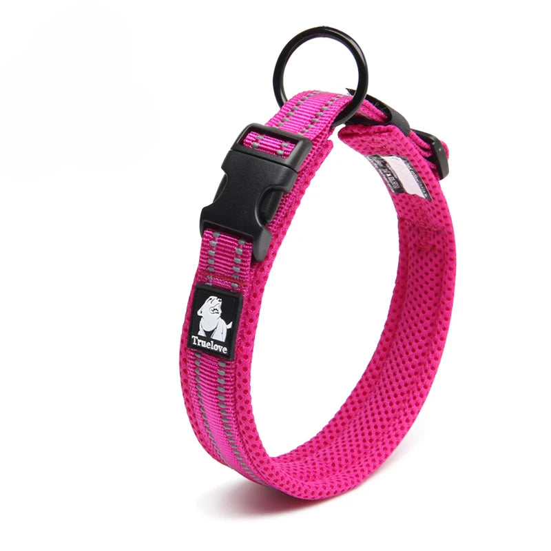 Winhyepet Padded Nylon Dog Walking Collar With Buckle