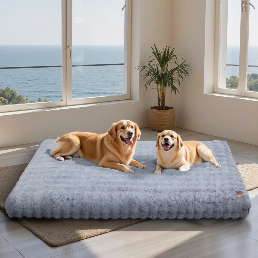 BORWARTCN Ultra Plush Dog Bed Cushion For Pets Cloud Comfort