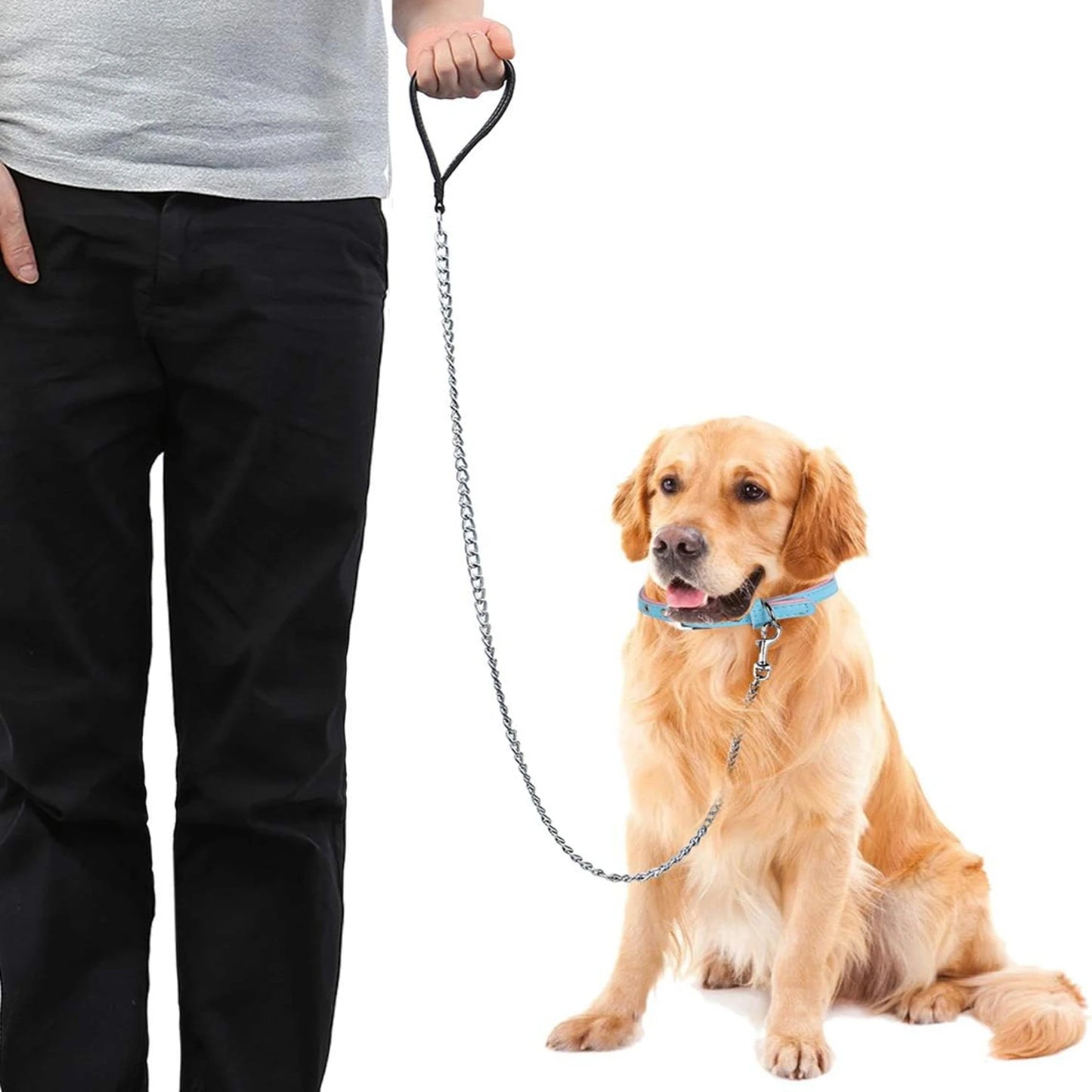 Integrated Metal Dog Leash Collar Combo Heavy Duty