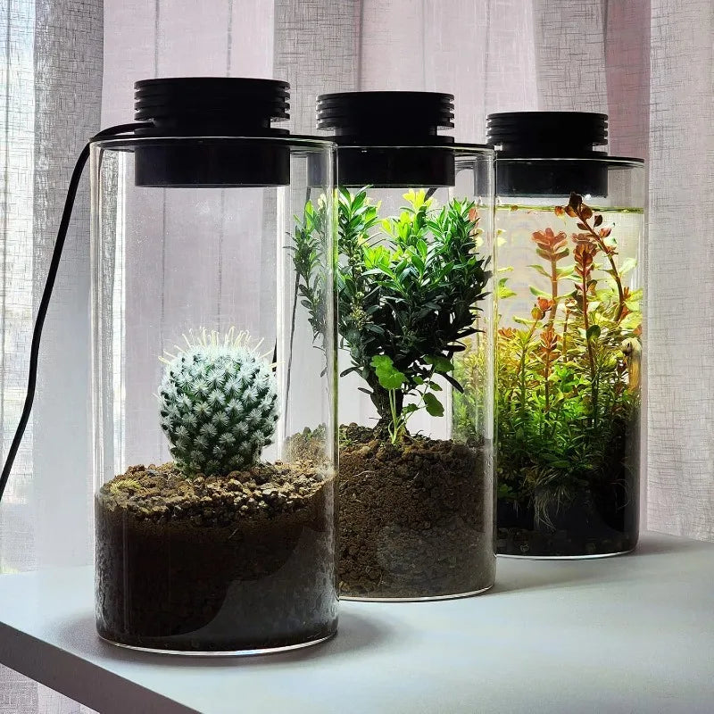 Desktop Glass Plant Terrarium Grow Light