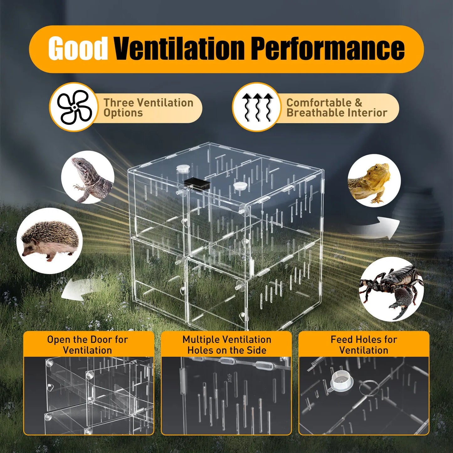 Color Acrylic 4 Grids Reptile Cage Breeding Box Terrarium