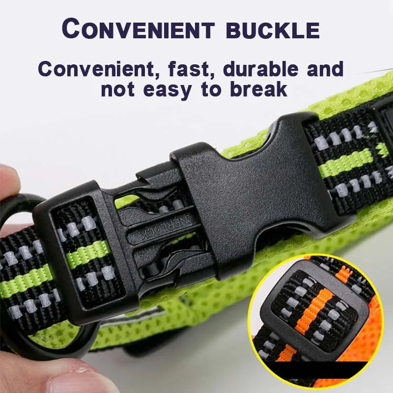 Winhyepet Padded Nylon Dog Walking Collar With Buckle