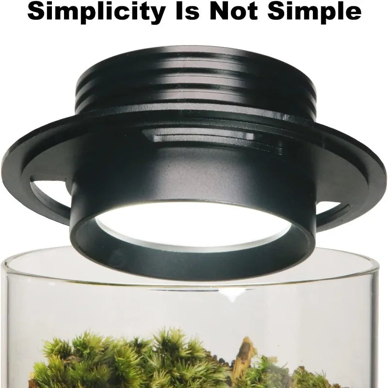 Desktop Glass Plant Terrarium Grow Light