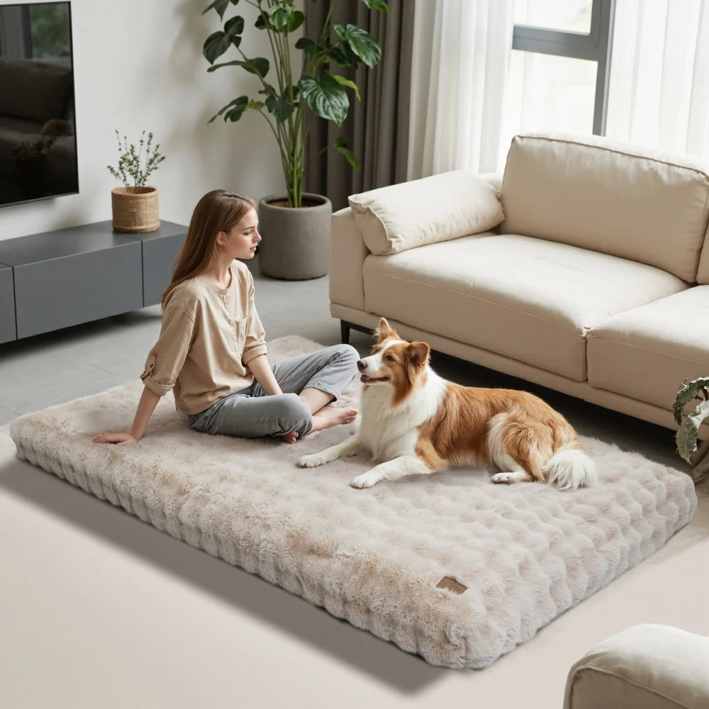 BORWARTCN Ultra Plush Dog Bed Cushion For Pets Cloud Comfort