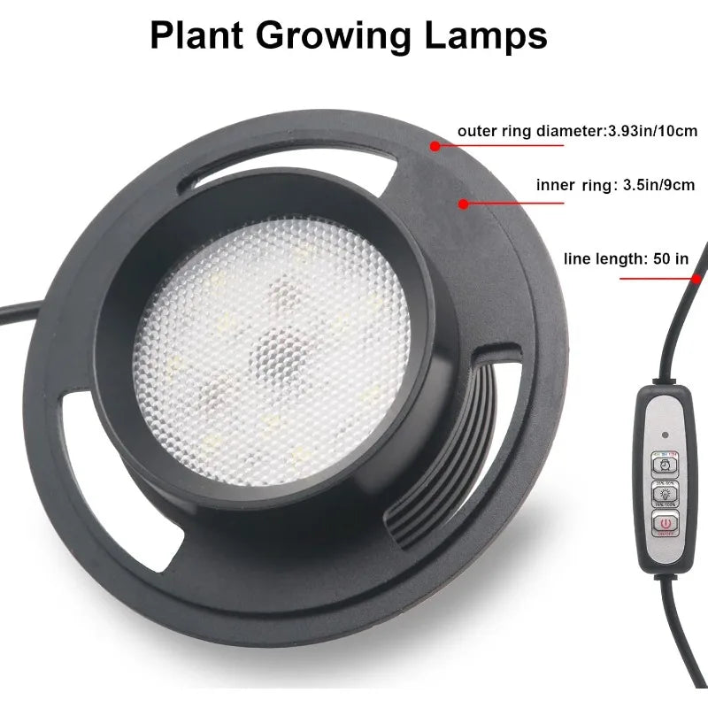 Desktop Glass Plant Terrarium Grow Light