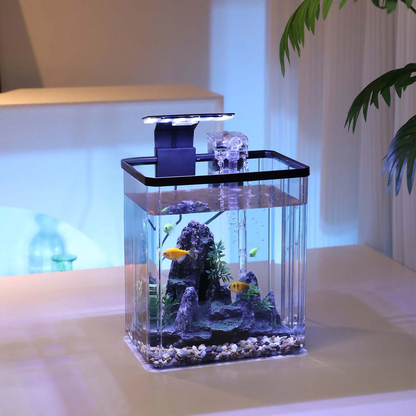 TWISTER.CKH Aquarium Starter Kit With LED Light Pump