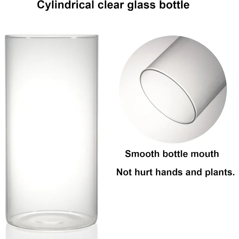 Desktop Glass Plant Terrarium Grow Light