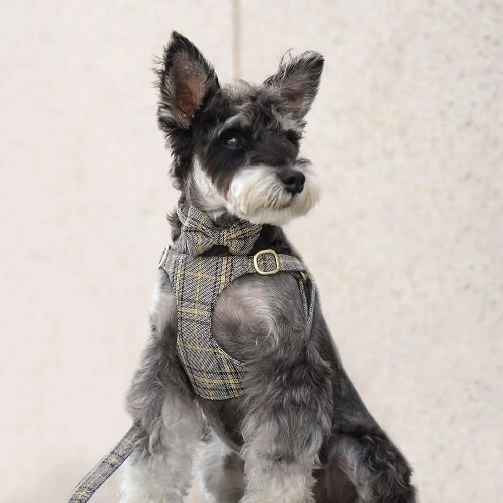 Cute Small Dog Harness Set Adjustable Soft Plaid Pet Collar Leash Bowtie Puppies Walking Parties Comfort Durable Design
