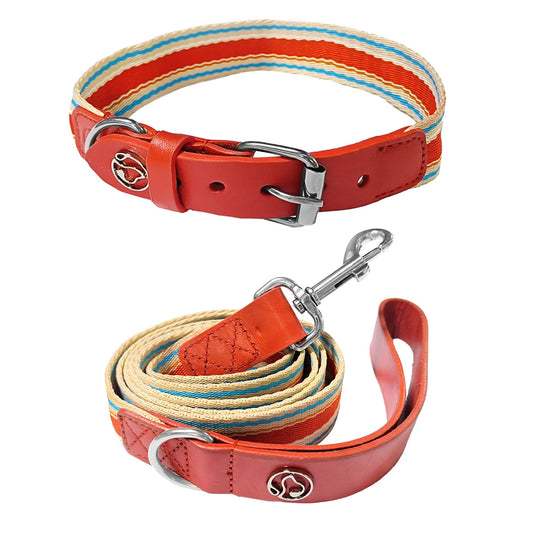 Zhejiang Dog Adjustable Collar And Leash Set Retractable