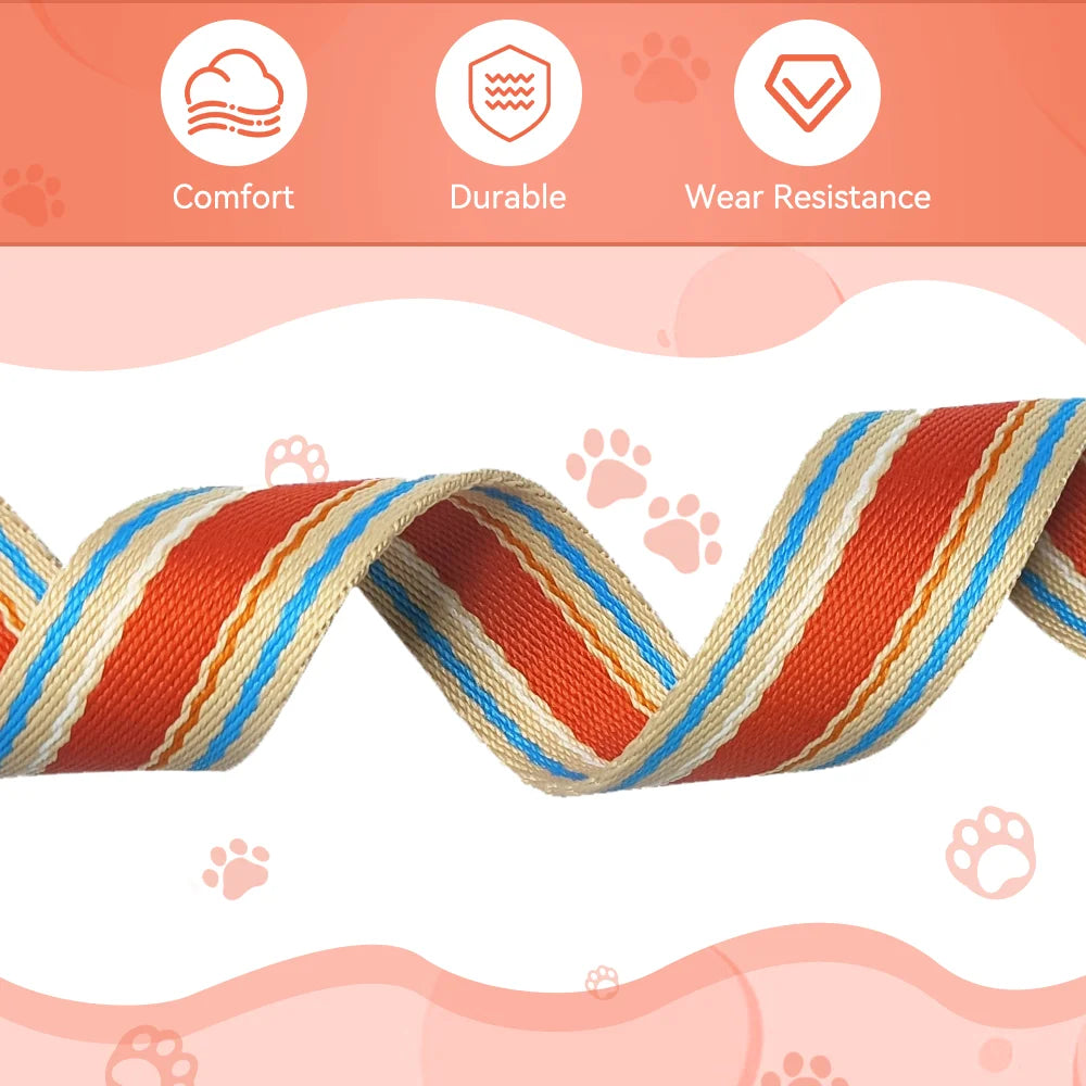 Zhejiang Dog Adjustable Collar And Leash Set Retractable