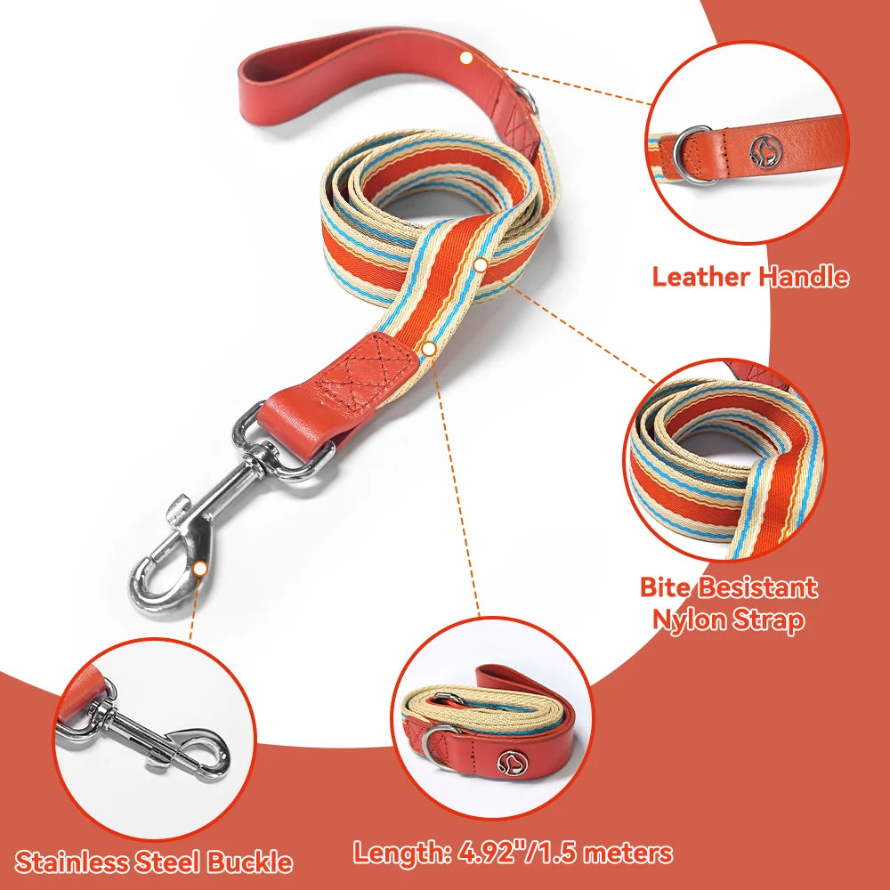 Zhejiang Dog Adjustable Collar And Leash Set Retractable