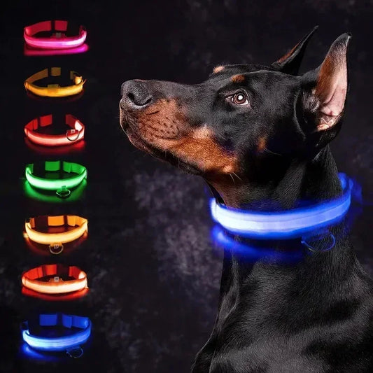 YTYINCN Led Glowing Dog Collar Adjustable Rechargeable Night Safety