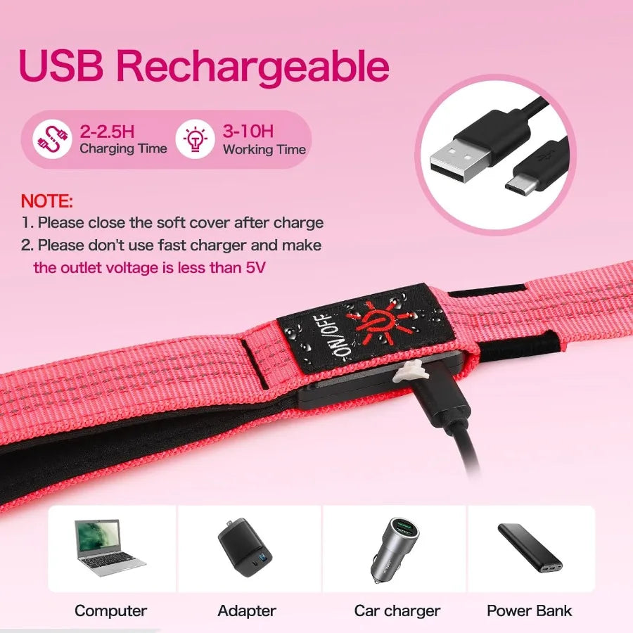 LED Dog Leash Light-Up Glow-In-The-Dark Rechargeable Waterproof