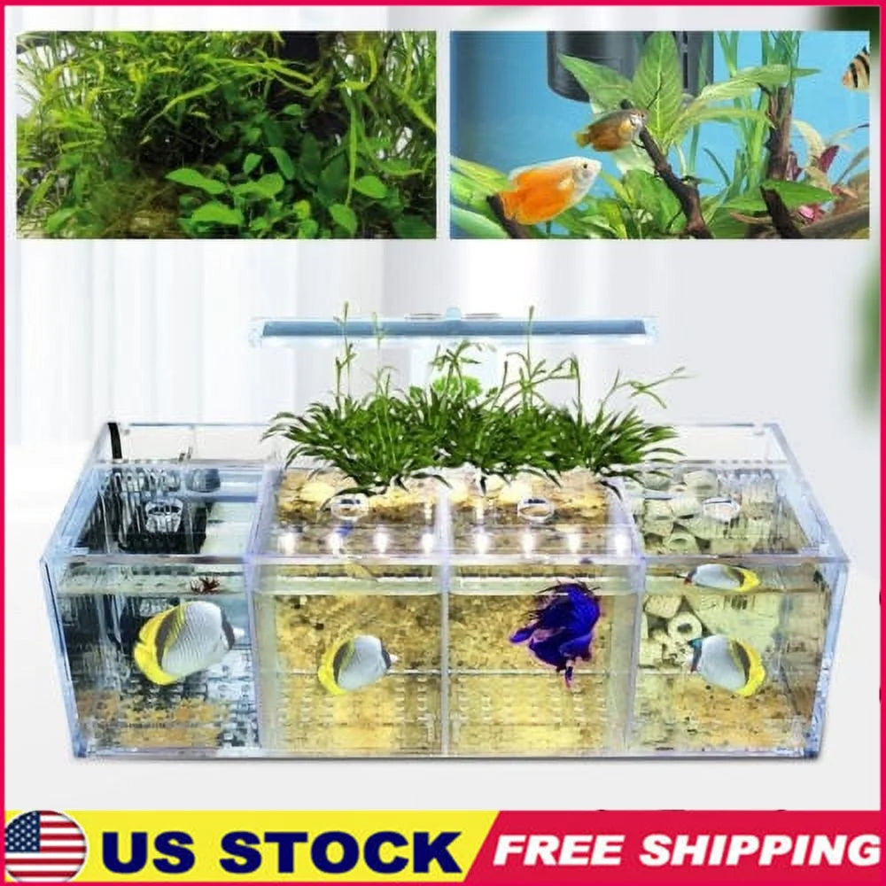 XMSJ LED Acrylic Betta Fish Tank With 4 Separate Compartment Grids and Pump