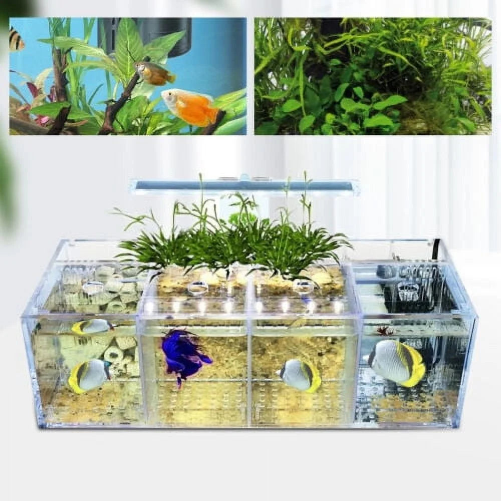 XMSJ LED Acrylic Betta Fish Tank With 4 Separate Compartment Grids and Pump