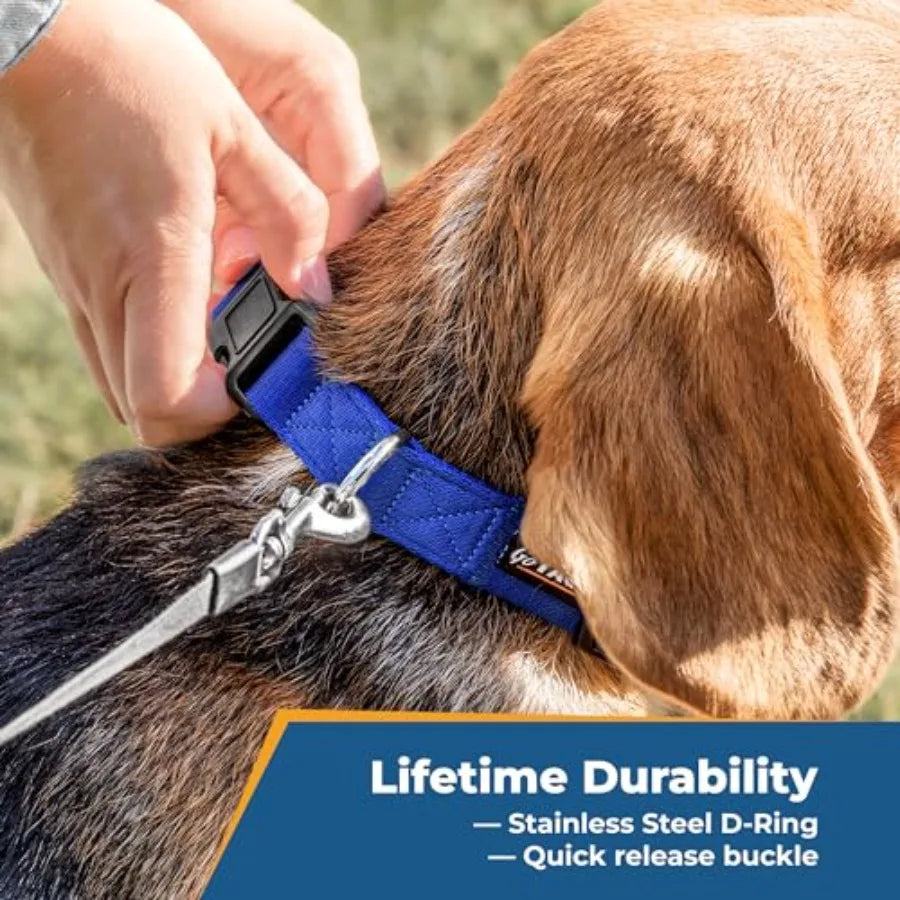 Custom Embroidered Dog Collar With Pet Name And Phone