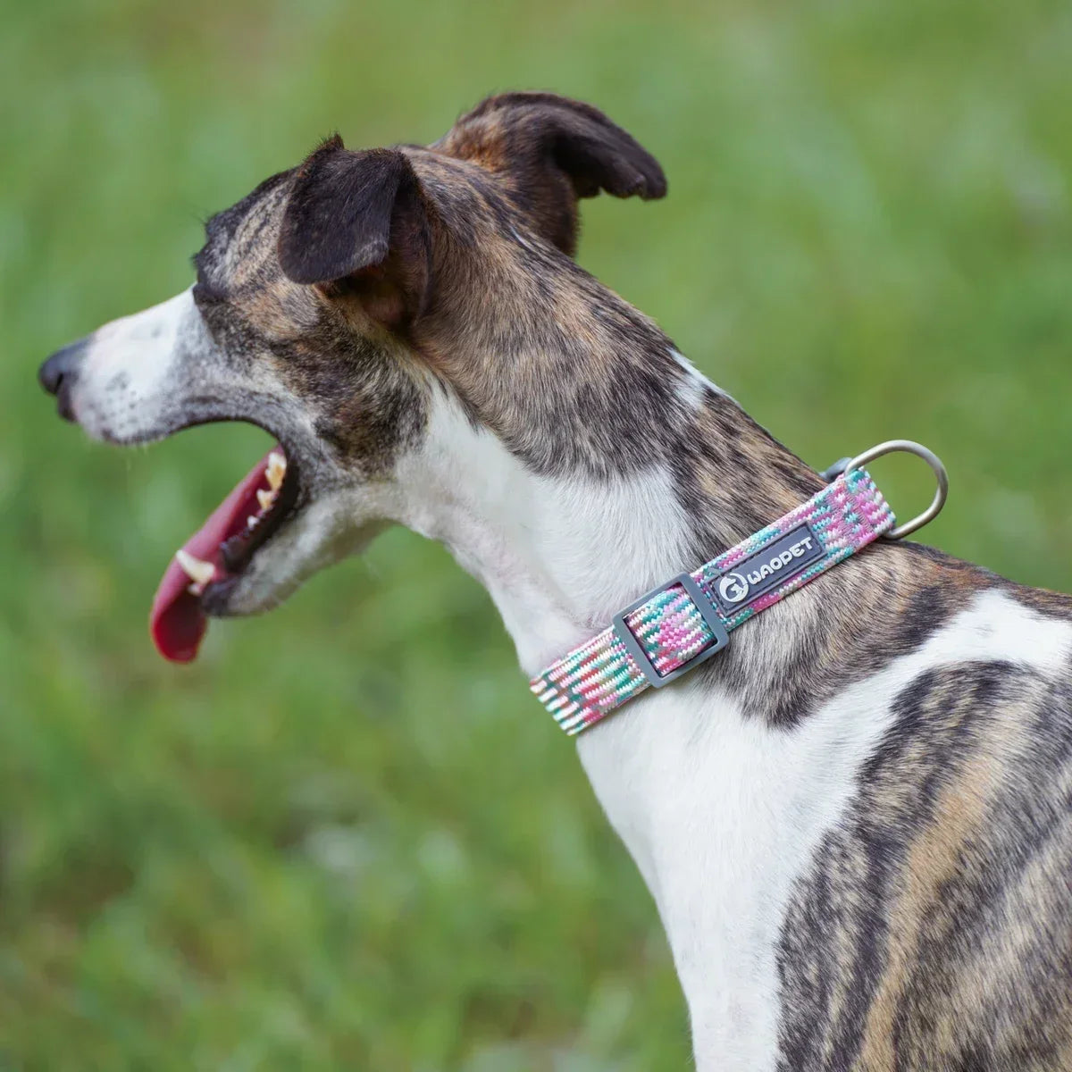 Dog Leash And Collar Set Reflective For Dogs Outdoor Walking