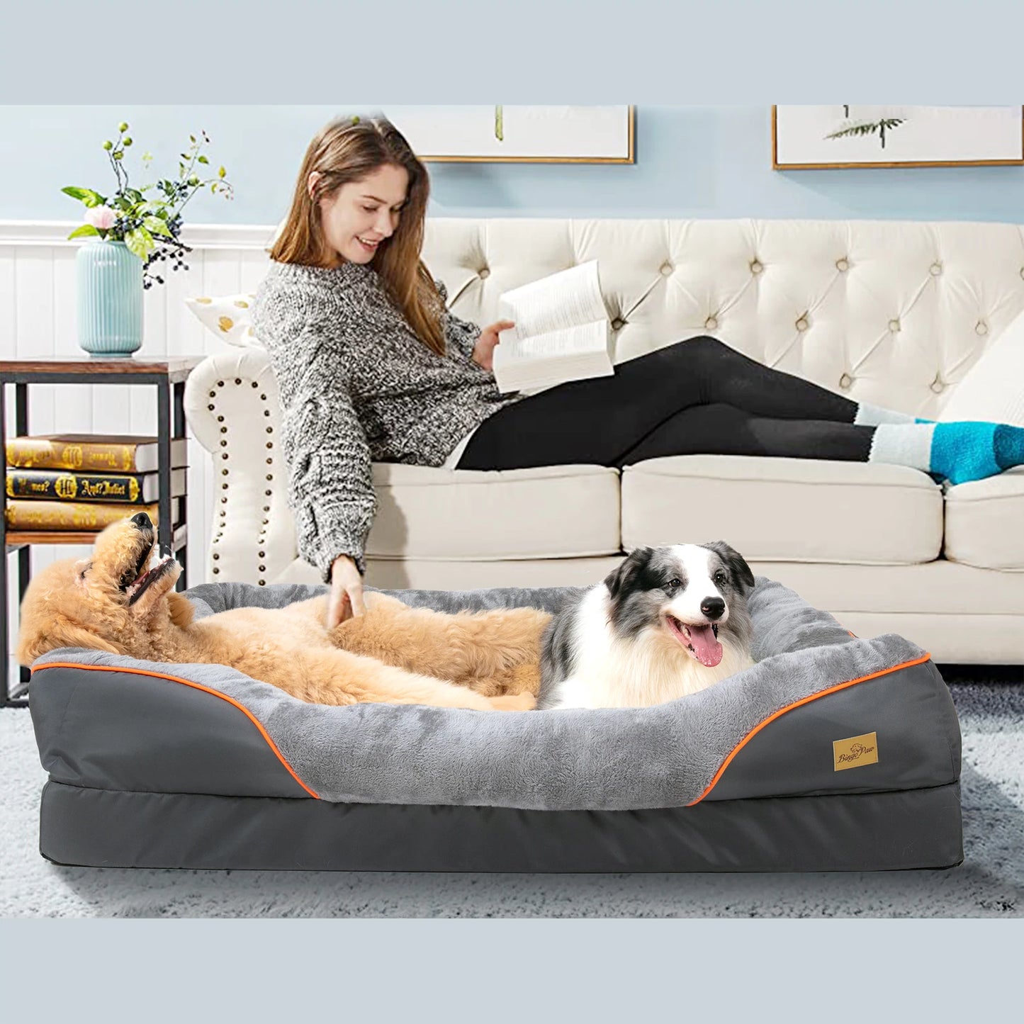 Your Furry Family Members Will Love this Cozy Anti Allergy Dog Bed With Removable Washable Cover