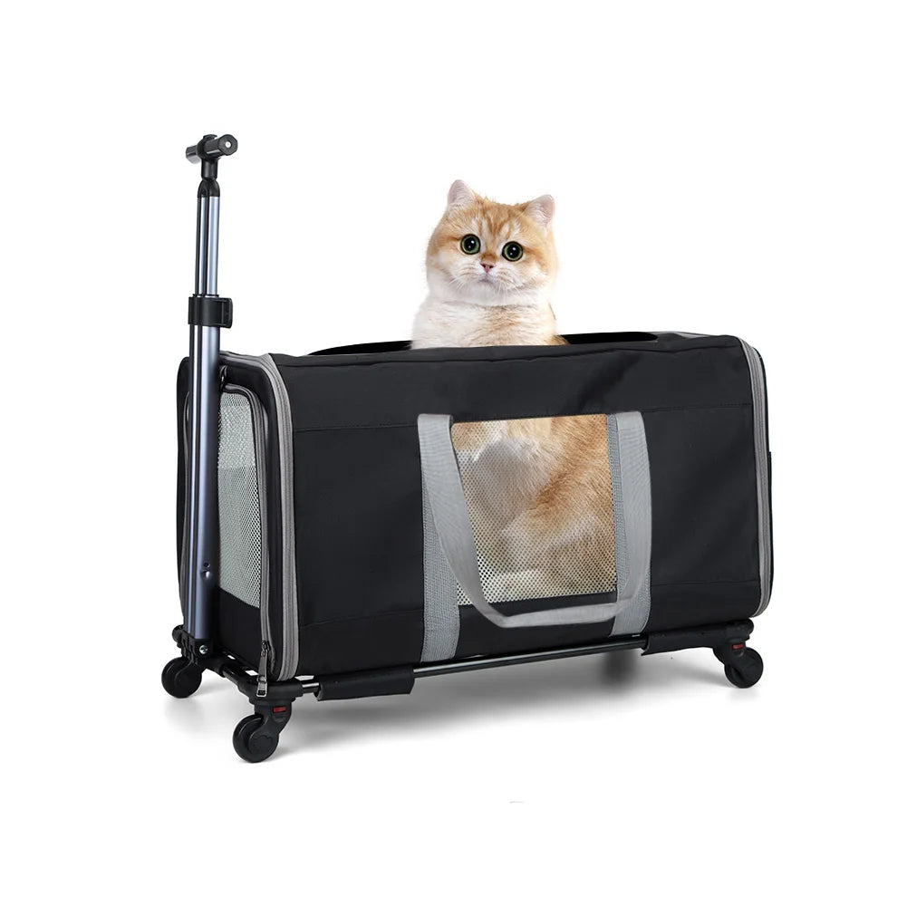 Breed Cat Transport Carrier With Wheels And Safety Belts