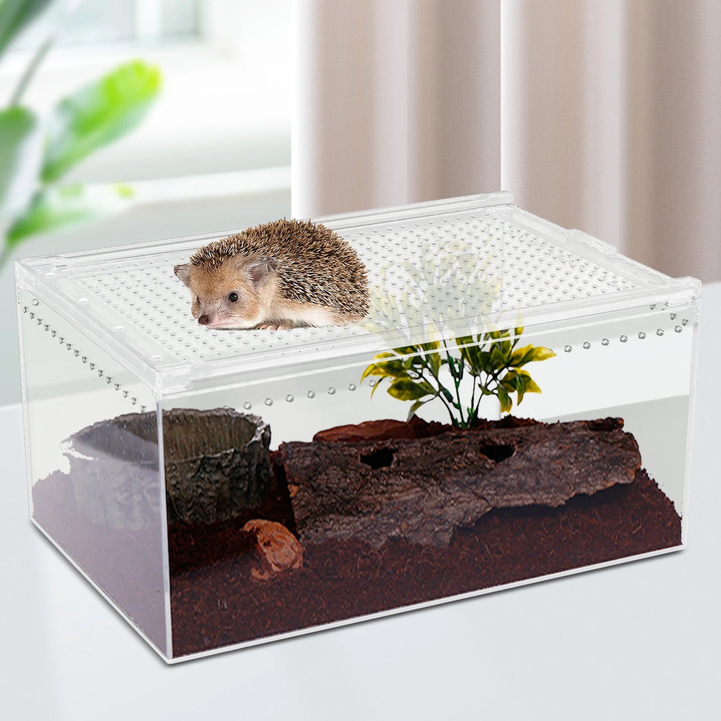 Acrylic Reptile Pet Breeding Cage with Sliding Lid and Magnetic Closure, Sturdy, Terrarium for Horned Frogs, Scorpions, Snakes