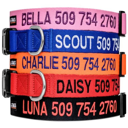 Custom Embroidered Dog Collar With Pet Name And Phone
