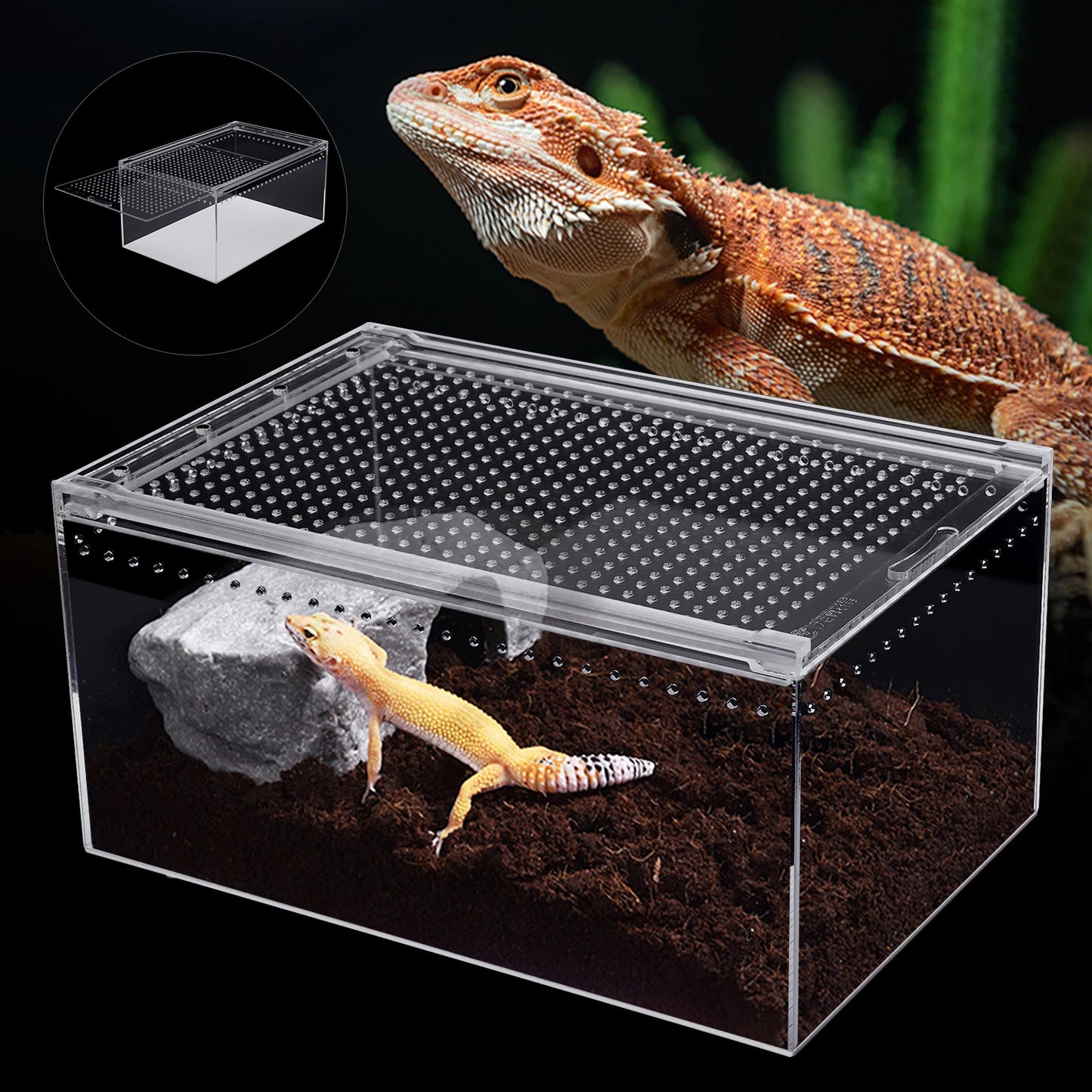 Acrylic Reptile Pet Breeding Cage with Sliding Lid and Magnetic Closure, Sturdy, Terrarium for Horned Frogs, Scorpions, Snakes