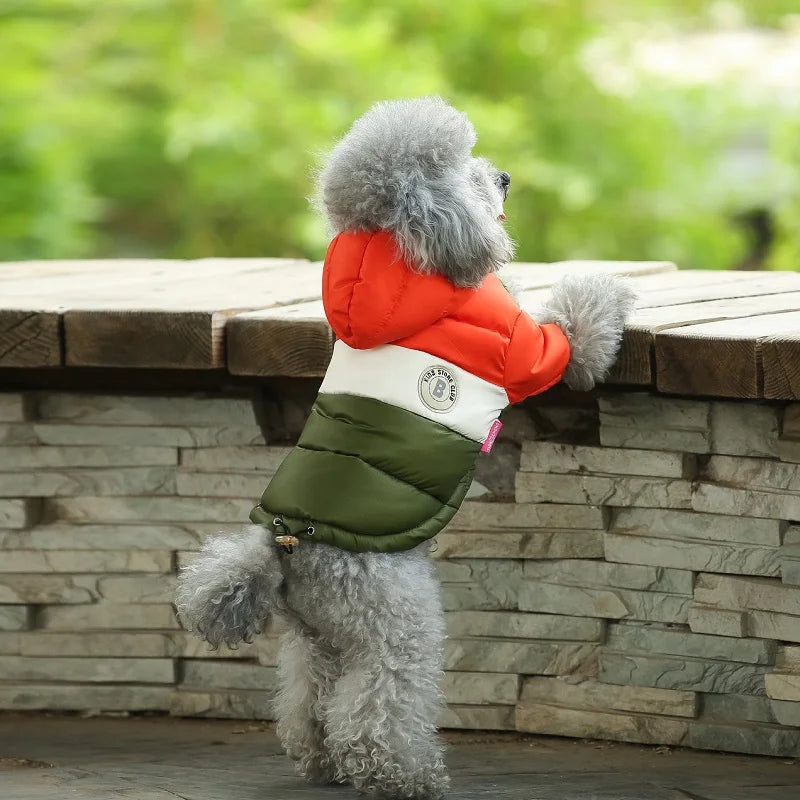 Doggyzstyle Waterproof Winter Jacket For Small Dogs