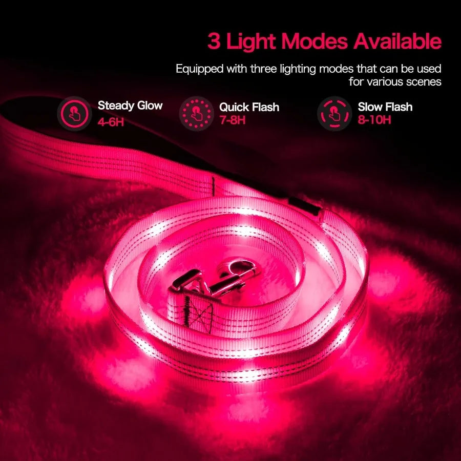 LED Dog Leash Light-Up Glow-In-The-Dark Rechargeable Waterproof