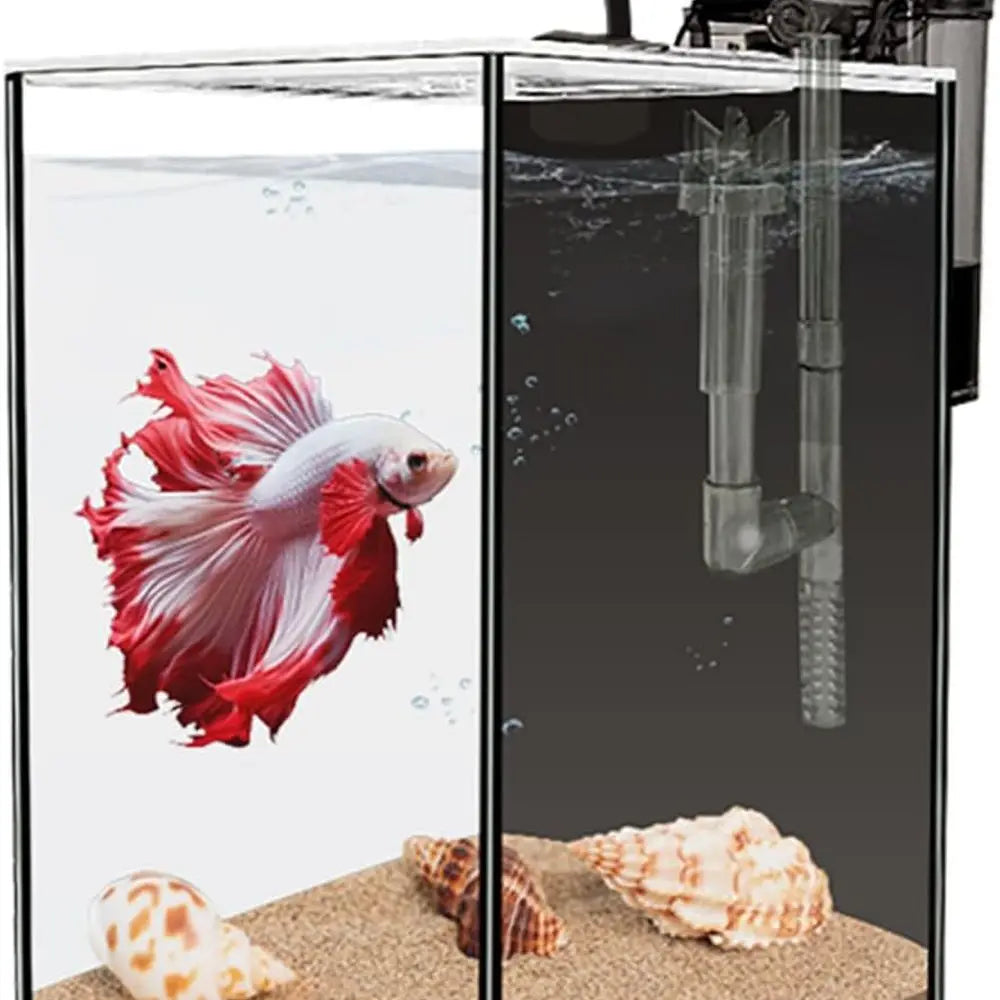 Glass Betta Aquarium Starter Kit With LED Light and Filter