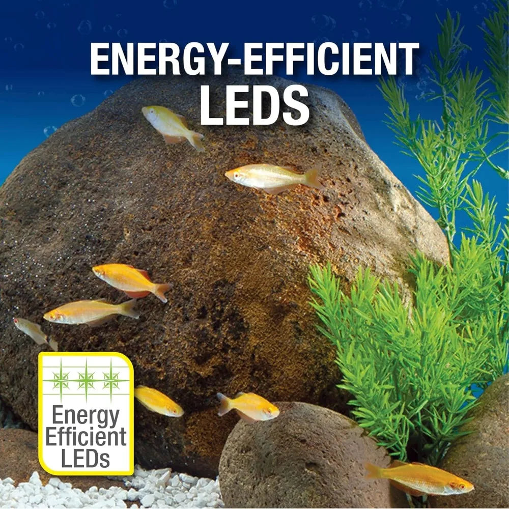 Freshwater Tropical Fish Tank Kit With LED Light