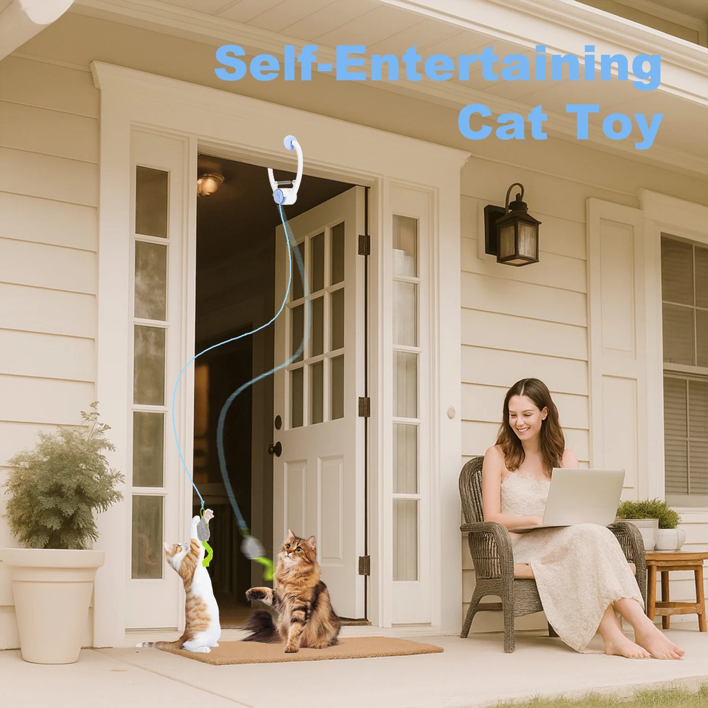 Cityflee RandomMotion Door Frame Cat Toy USB Rechargeable Entertainment Experience