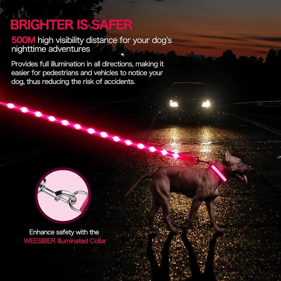 LED Dog Leash Light-Up Glow-In-The-Dark Rechargeable Waterproof