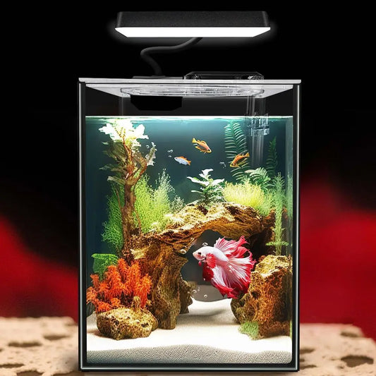Glass Betta Aquarium Starter Kit With LED Light and Filter