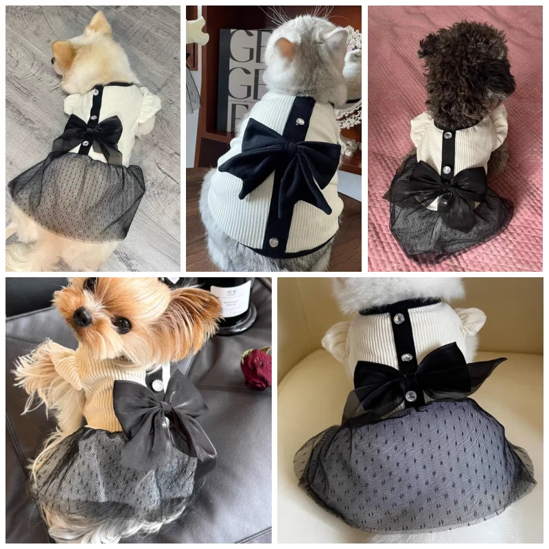 Luxury Summer Cotton Bow and Lace Dress For the Stylish Dog