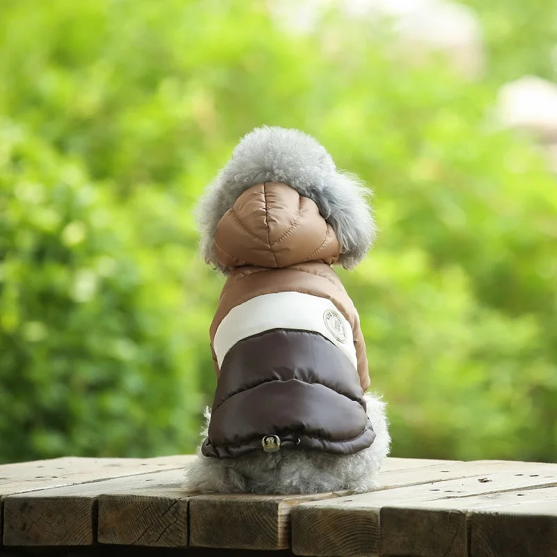 Doggyzstyle Waterproof Winter Jacket For Small Dogs