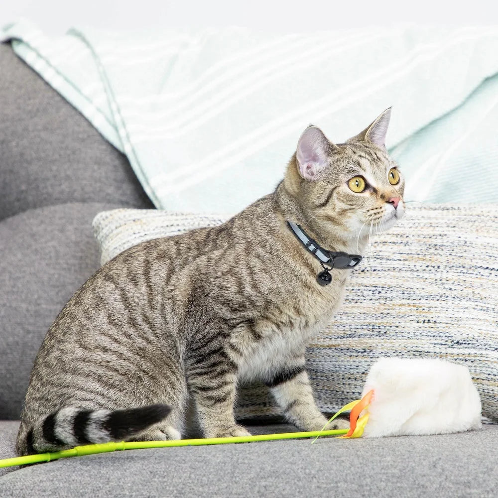 2-Pack Adjustable Cat Collar with Breakaway Safety Closure Reflective Design Bell ID Tag Ring Cats and Kittens