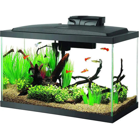 All-in-One Glass Tank Aquarium Starter Kit With LED Lighting Included