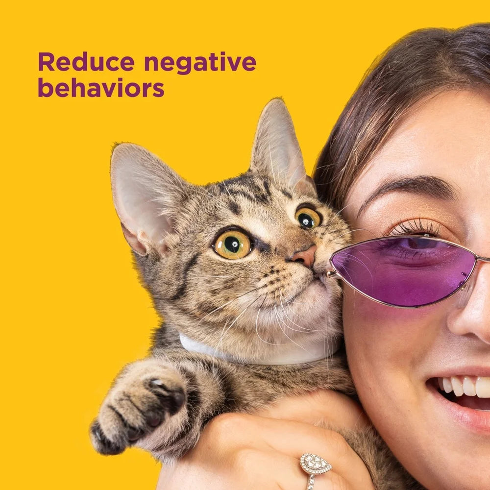 Cat Calming Collar 30 Days Stress Relief Adjustable Pheromone Release Drug Free Safe Behavior Improvement Indoor Outdoor Use