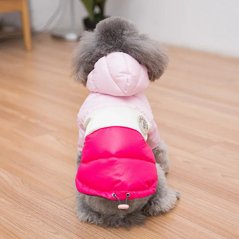Doggyzstyle Waterproof Winter Jacket For Small Dogs