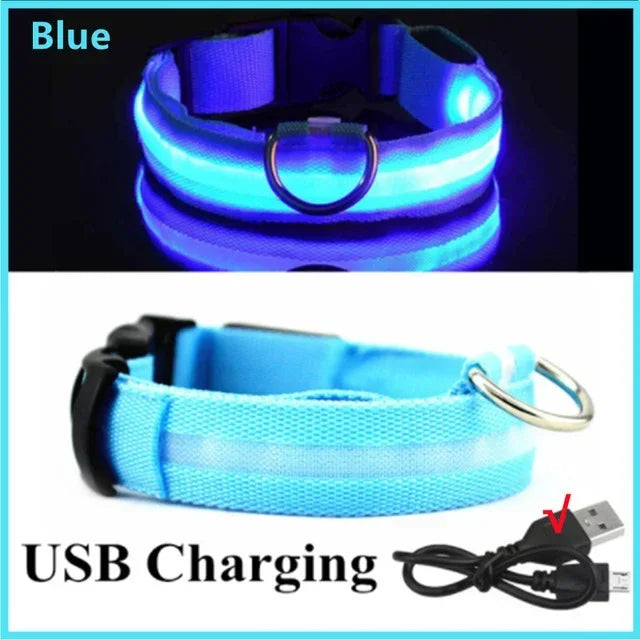 YTYINCN Led Glowing Dog Collar Adjustable Rechargeable Night Safety