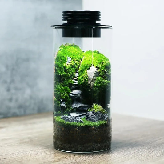 Desktop Glass Plant Terrarium Grow Light