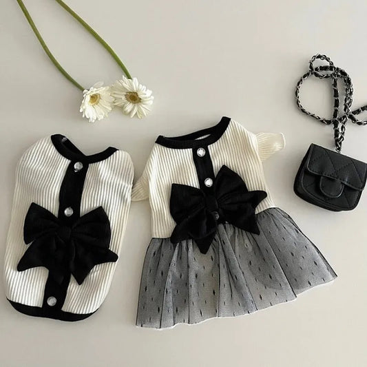 Luxury Summer Cotton Bow and Lace Dress For the Stylish Dog