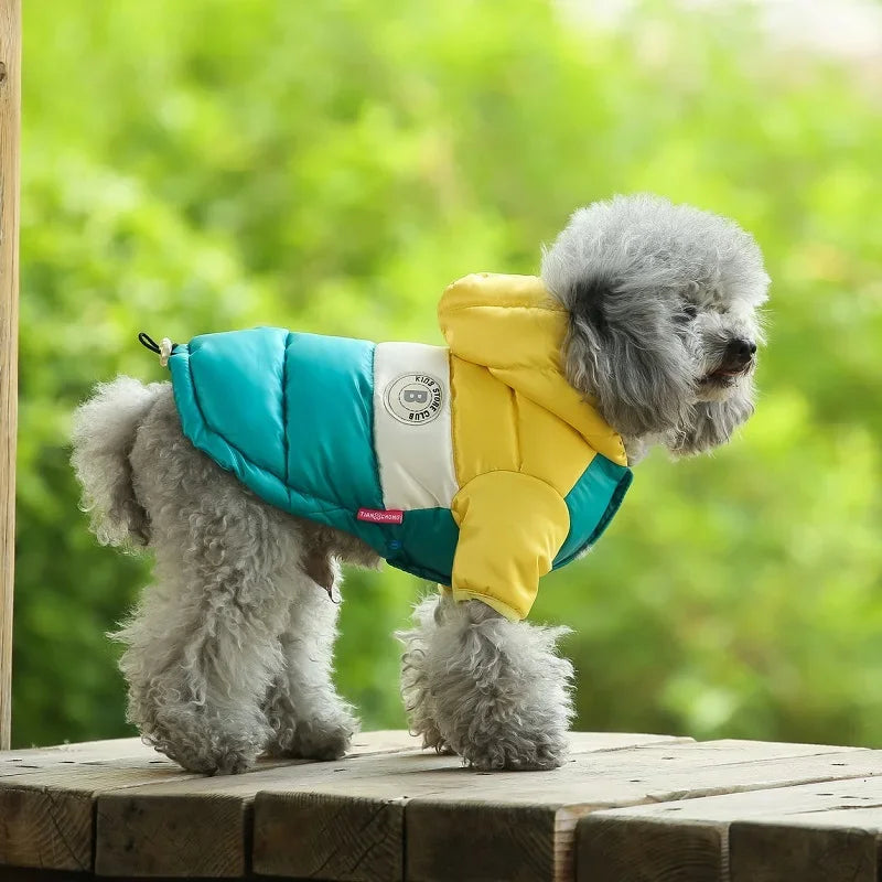 Doggyzstyle Waterproof Winter Jacket For Small Dogs