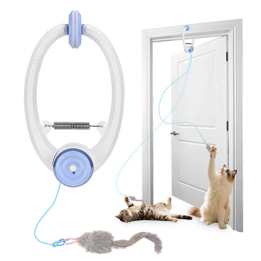 Cityflee RandomMotion Door Frame Cat Toy USB Rechargeable Entertainment Experience