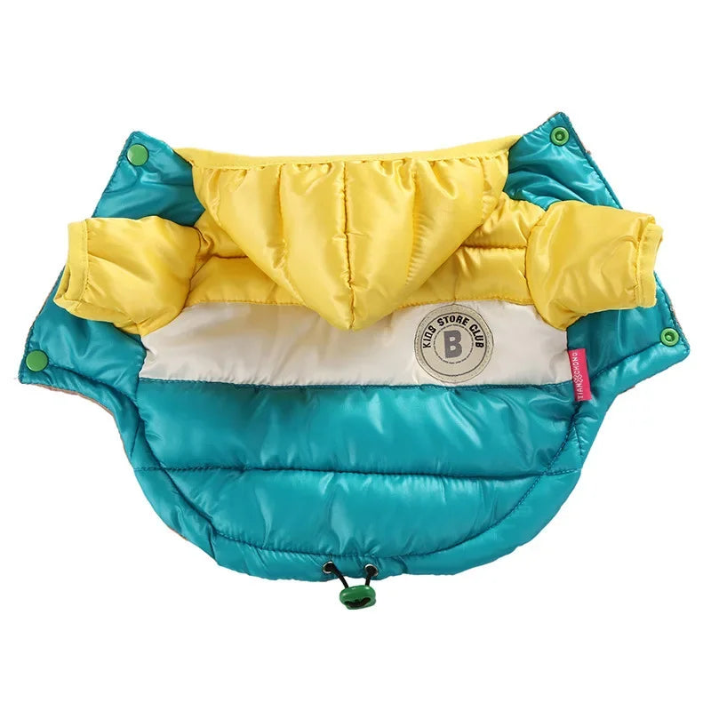 Doggyzstyle Waterproof Winter Jacket For Small Dogs