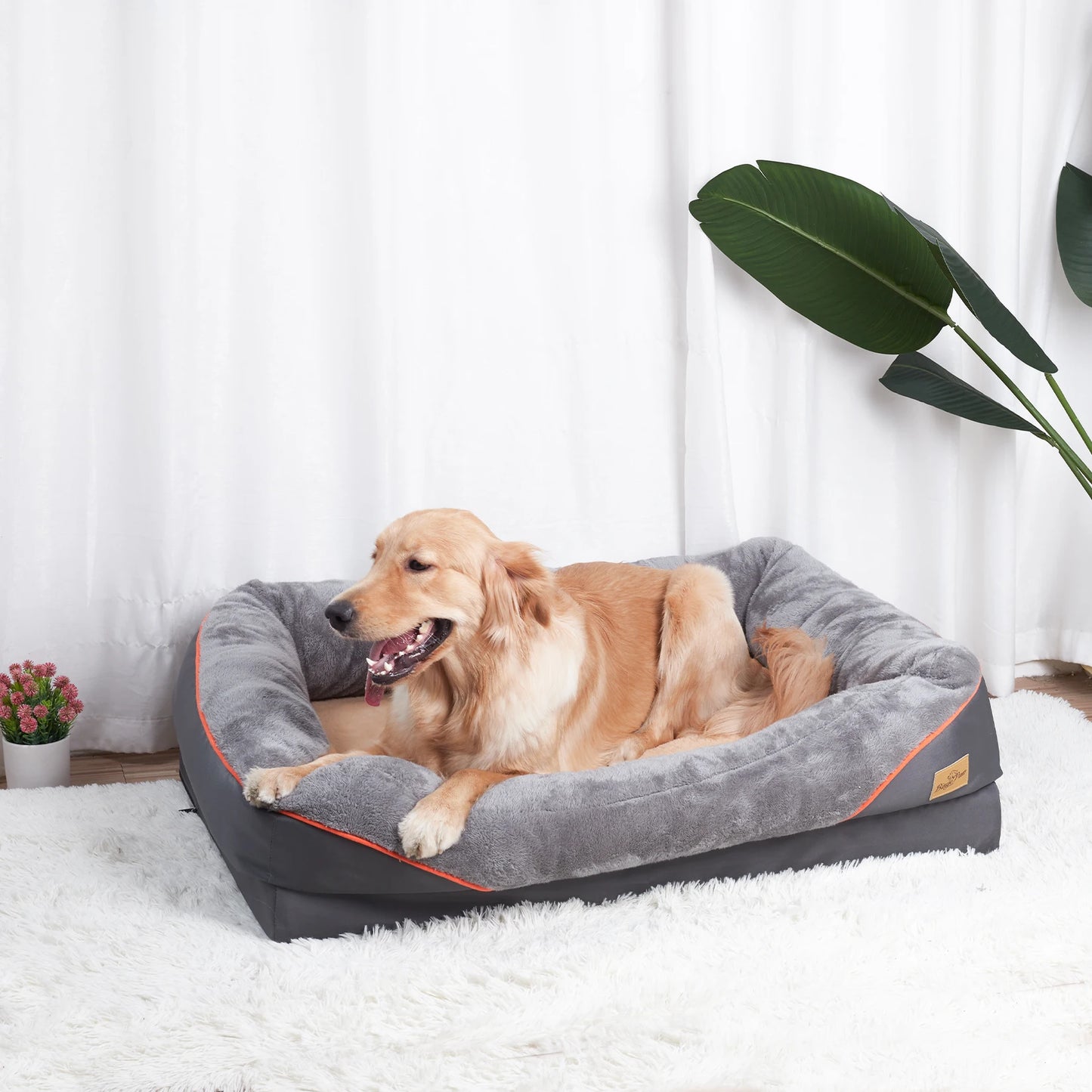 Your Furry Family Members Will Love this Cozy Anti Allergy Dog Bed With Removable Washable Cover