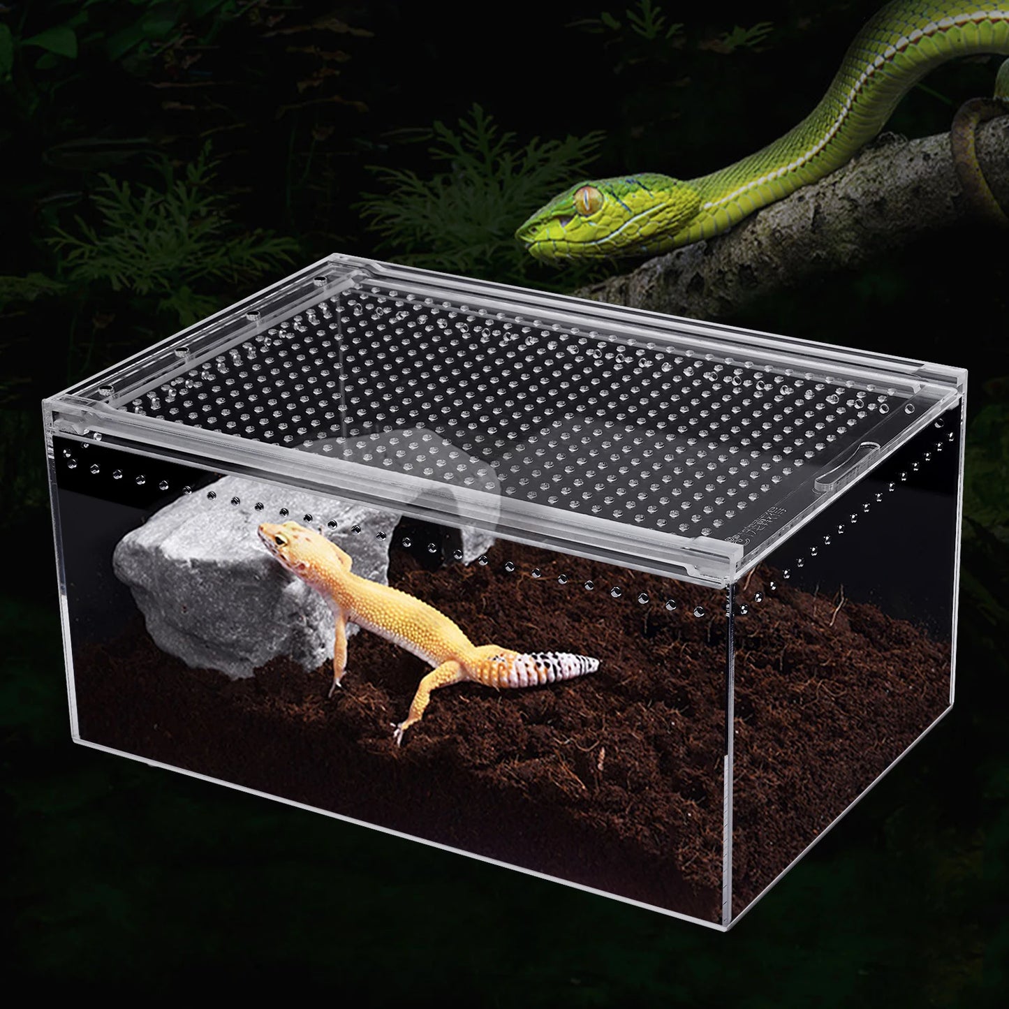 Acrylic Reptile Pet Breeding Cage with Sliding Lid and Magnetic Closure, Sturdy, Terrarium for Horned Frogs, Scorpions, Snakes