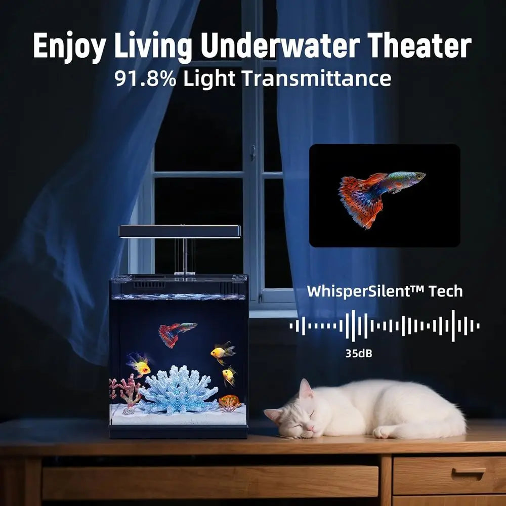 AQUASMI Betta Fish Tank With Filter And Light For Beginners