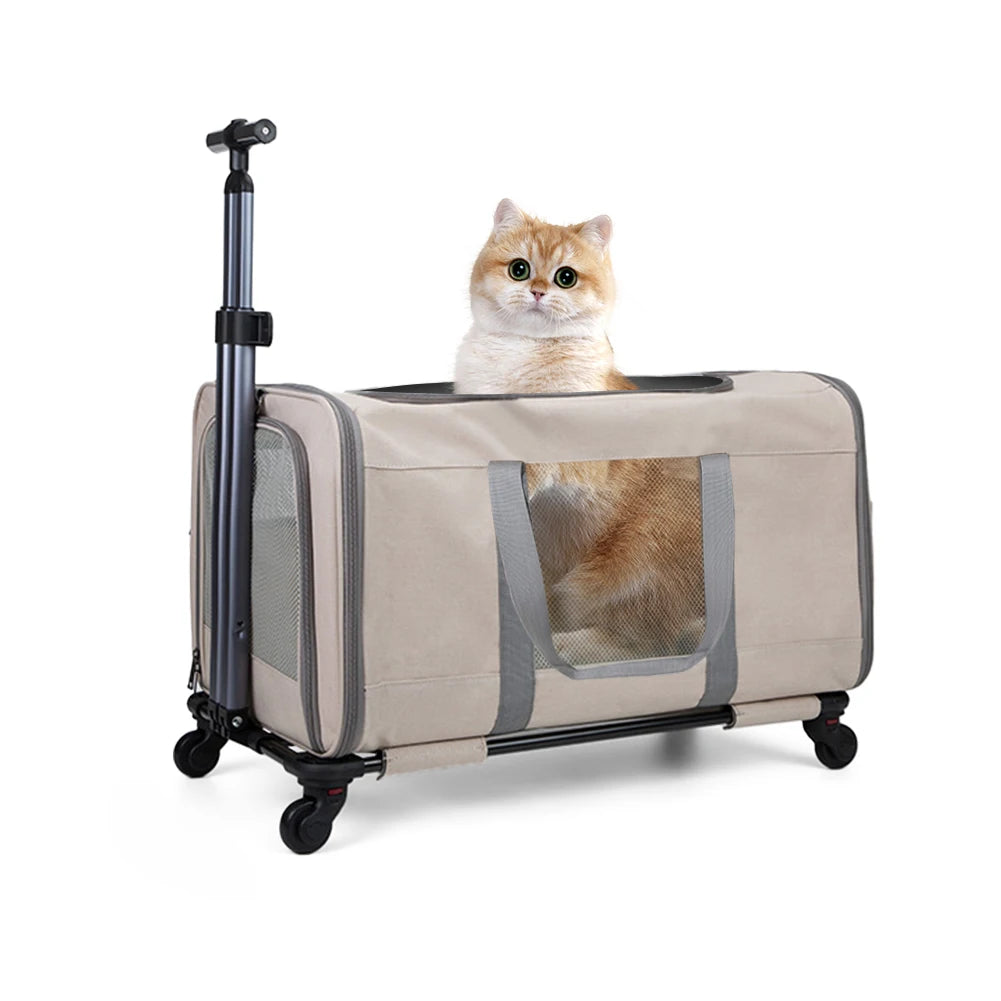 Breed Cat Transport Carrier With Wheels And Safety Belts